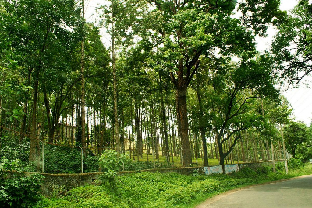 Marayaoor sandalwood forest